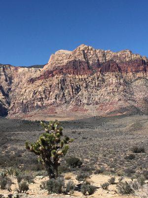 Red Rocks Park. Las Vegas, NV