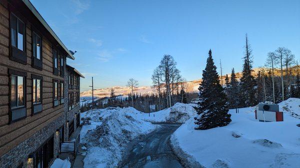 The view from the patio outside