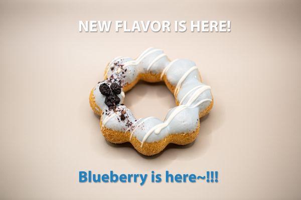 Blueberry!!!