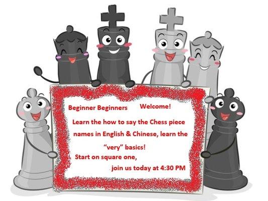 Chess Class Online This Summer!