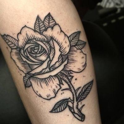 Rose done by Ermis