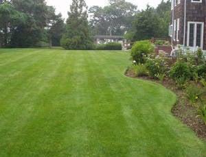 Expert Lawn Care