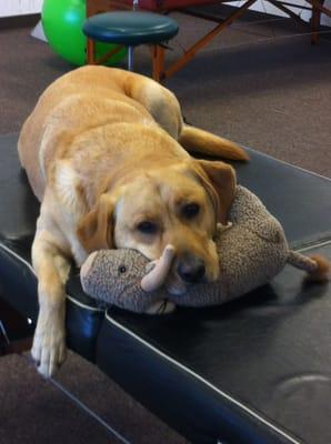 Floyd the Clinic Mascot