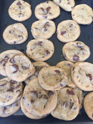 Milk chocolate chip Nibbler Cookie