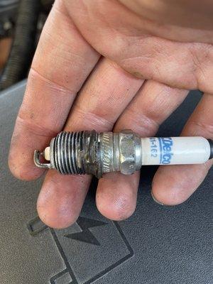 spark plug