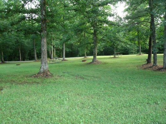 Group tent camping area.