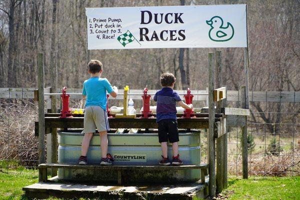 Ready, set, race! The animal park is home to more than 100 animals. We also have our rubber duck race.