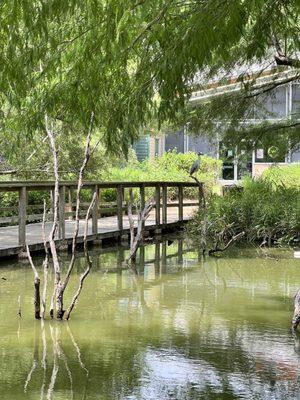 Scenic wetlands and gardens