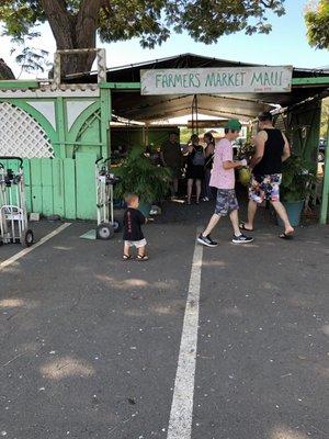 Local farmers market -- 15 minute walk along shoreline