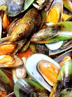 Green Mussels