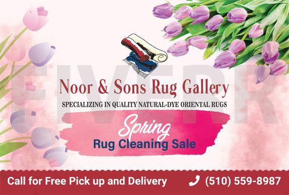 Noor & Sons Rug Gallery