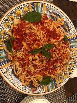 Variety of fresh pasta with homemade sauce and fresh basil. Delicious!