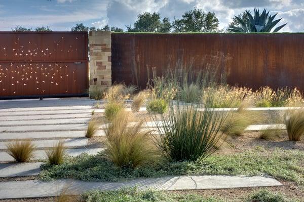 mexican feathergrass and cape rush