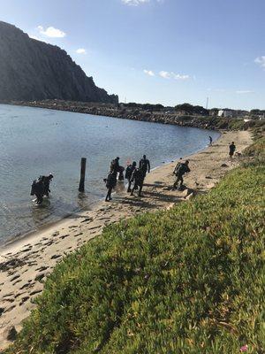 Scuba certification via SLO Ocean Currents at Morro Bay