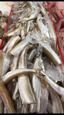 Fresh Ocean Smelts