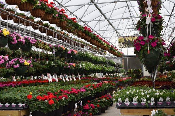 Inside view of our main greenhouse.