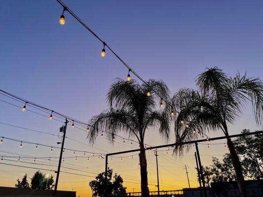 Outdoor Sunset on the Oasis Terrace