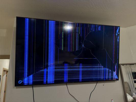 Ruined $2,500 TV