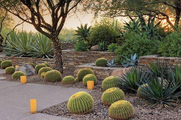 Landscaping Services in Tucson, AZ