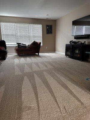 Get your carpet clean BK Residential Service