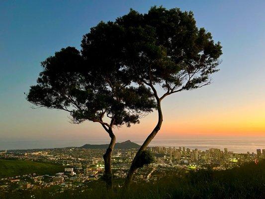 Overlooking Diamond Head and Waikiki