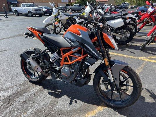 2023 KTM Duke 390 (Trojan Power Sports)