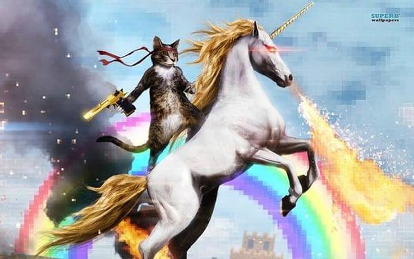 We love unicorns and cats!