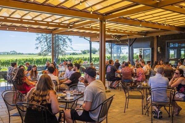 Vineyard views from the terrace.