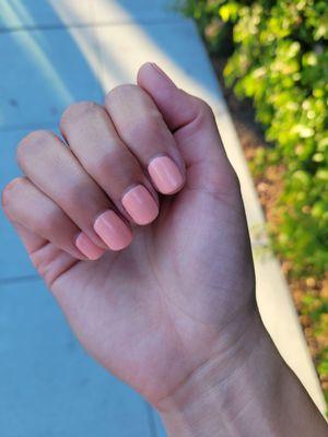 Gel manicure, $40