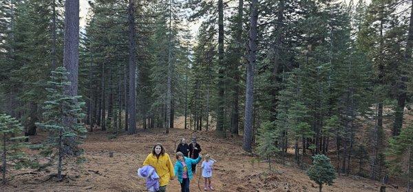 Family climbing up the hill finding the perfect tree.