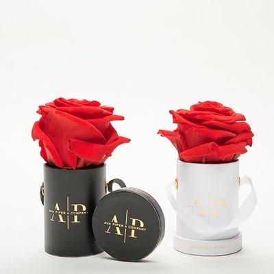 Petit Petals Preserved Roses. The perfect just cause gift.