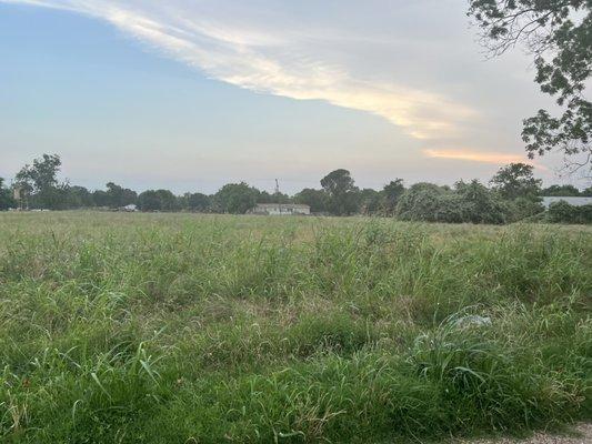 Land for sale Somerville, Texas