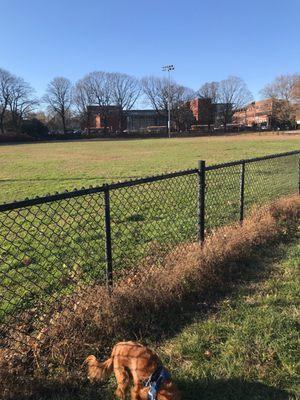 Says a permit is needed to use this space. No sign saying "east rock dog park".