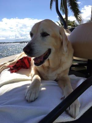 Lexxi enjoying golf cart ride