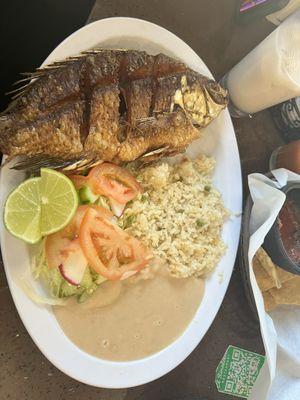 Mojarra