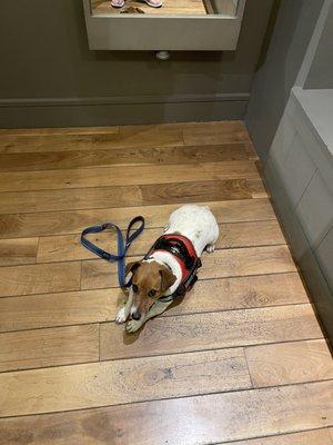 Dressing rooms are very clean well lit and spacious!