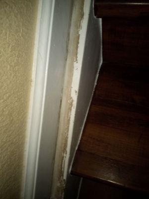 The baseboards.