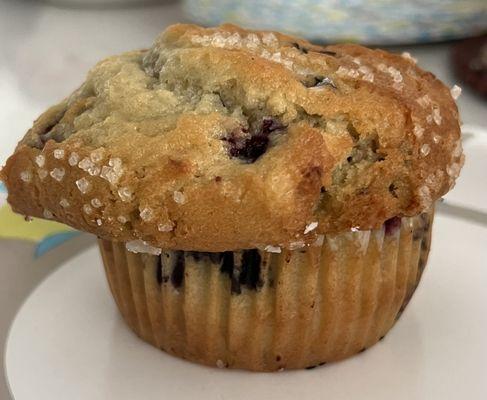 Blueberry muffin