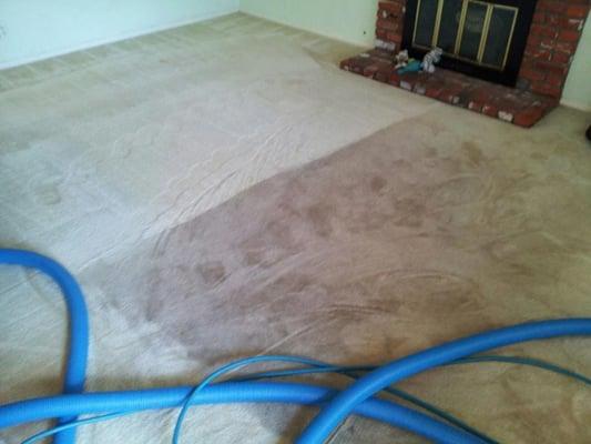 Carpet Cleaning in Progress