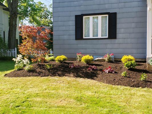 We make this beautiful  fresh planting and mulching with sharp edging