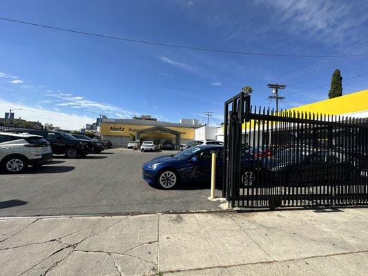 Cars in the lot