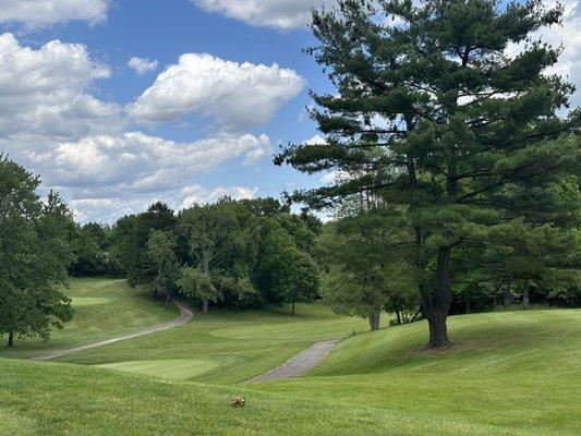 View from hole 12