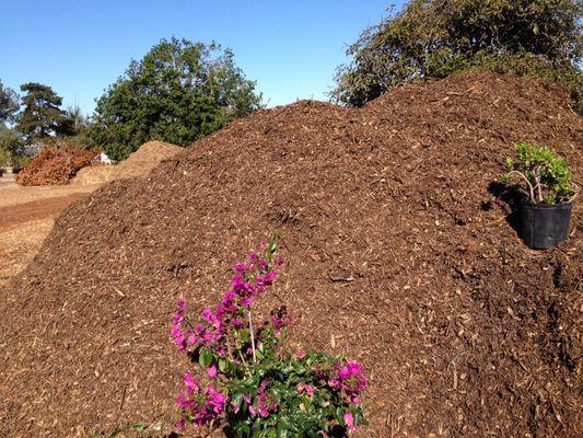 Mulch darker composted