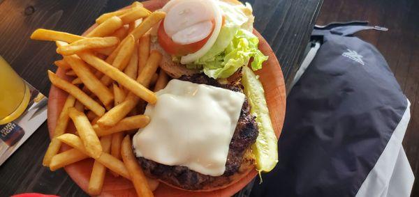 Hamburger with fries