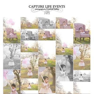 Client gallery sample. Blossom Mini Session 2016.