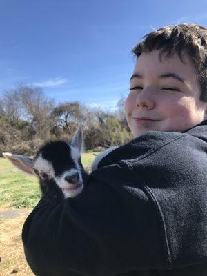 Who doesn't love baby goats?!