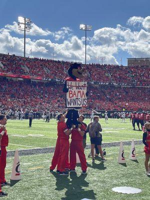 Football game -The mascot