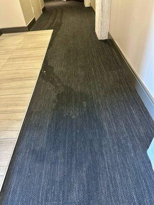 Hallway of my floor has been stained for over a month