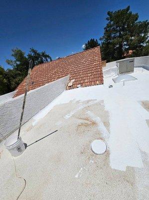 Elastomeric roof coating