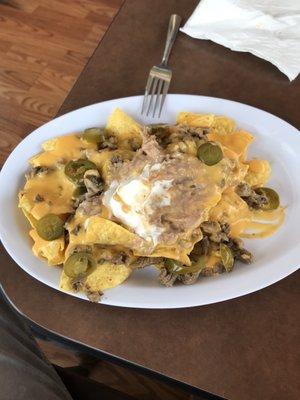 Carne asada nachos